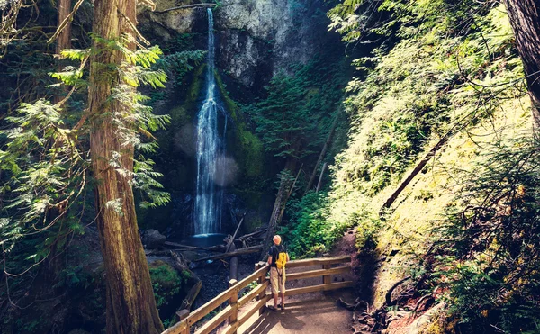 Beautiful waterfall in Canada — Stock Photo, Image