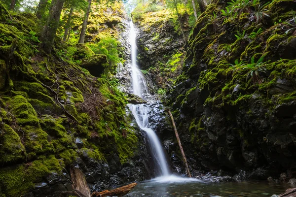 Vackra vattenfall i Kanada — Stockfoto