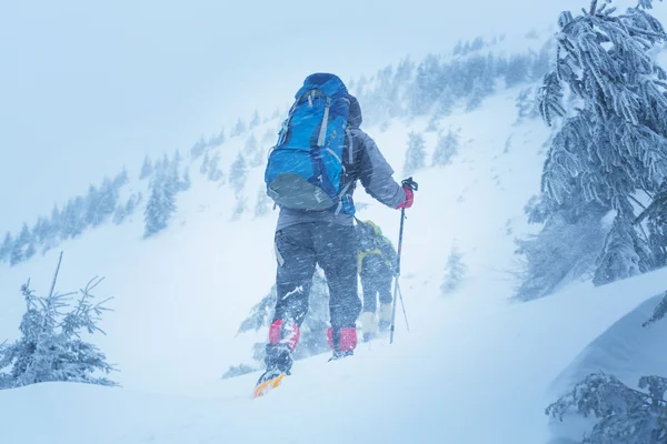 Wandelaars in de winter bergen — Stockfoto