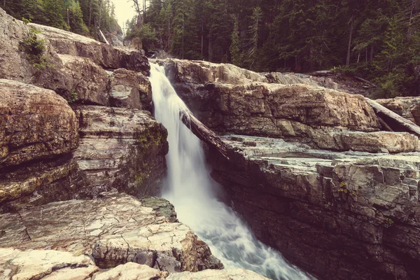 Gyönyörű vízesés, Kanada — Stock Fotó