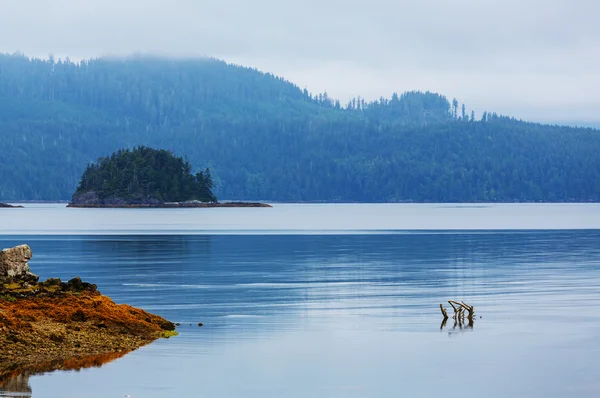 Hermosa isla de Vancouver — Foto de Stock