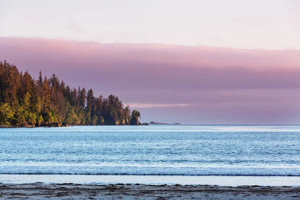Bella isola di Vancouver — Foto Stock