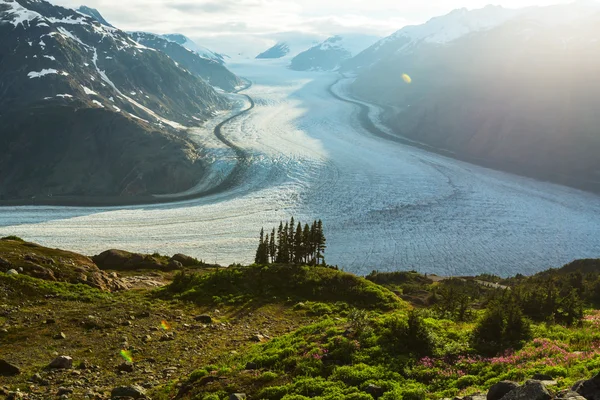 Schöner Lachsgletscher — Stockfoto