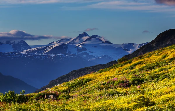 Pintorescas montañas canadienses — Foto de Stock