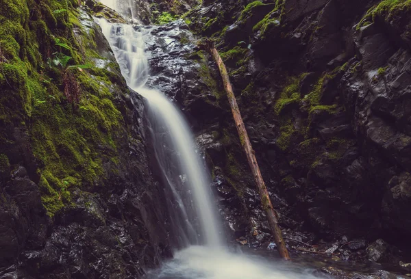 Красивий водоспад в Канаді — стокове фото