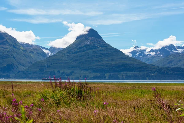 Peisaj frumos din Alaska — Fotografie, imagine de stoc