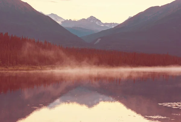 See in der alaskanischen Tundra — Stockfoto