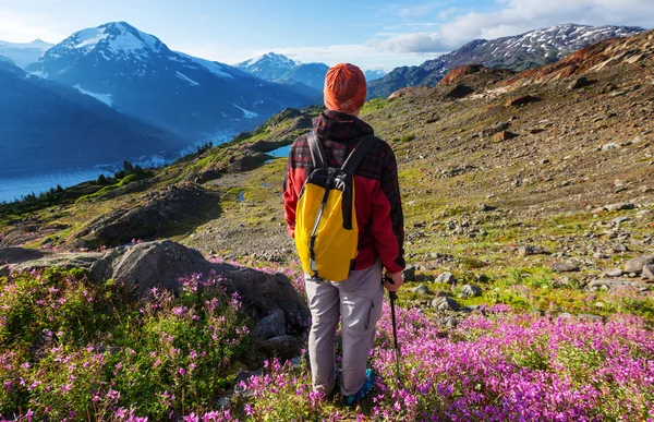 Wandelen man in Bergen — Stockfoto