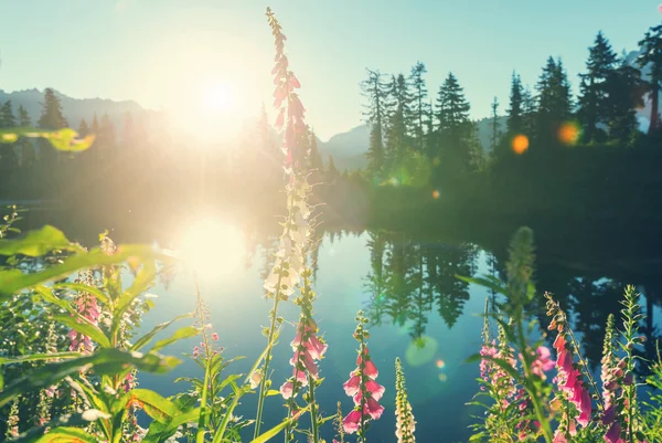 Imagem lago e monte Shuksan — Fotografia de Stock