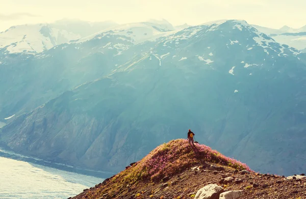 Hiking man in mountains — Stock Photo, Image