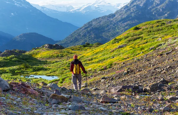 Randonnée pédestre en montagne — Photo