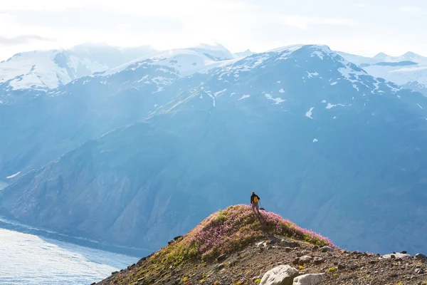 Hiking man in mountains — Stock Photo, Image
