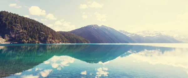 Beau lac Garibaldi — Photo