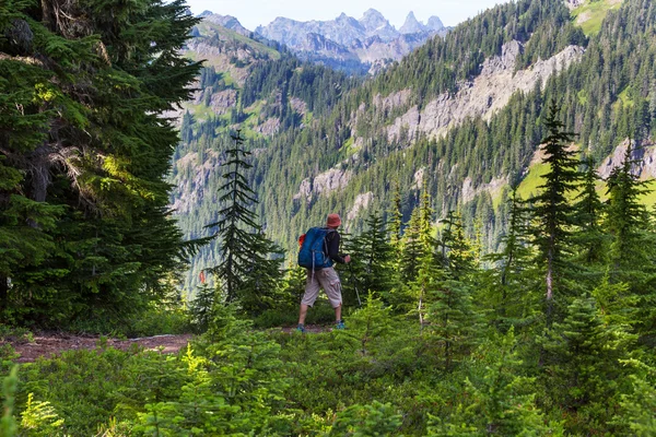 Backpacker w letnie góry — Zdjęcie stockowe