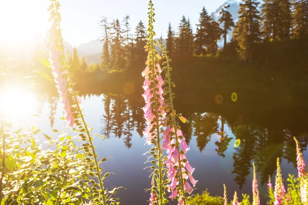 Bild sjön och mount shuksan — Stockfoto