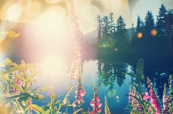 Imagem lago e monte Shuksan — Fotografia de Stock