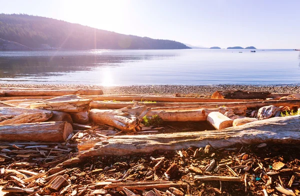 Hermosa isla de Vancouver — Foto de Stock