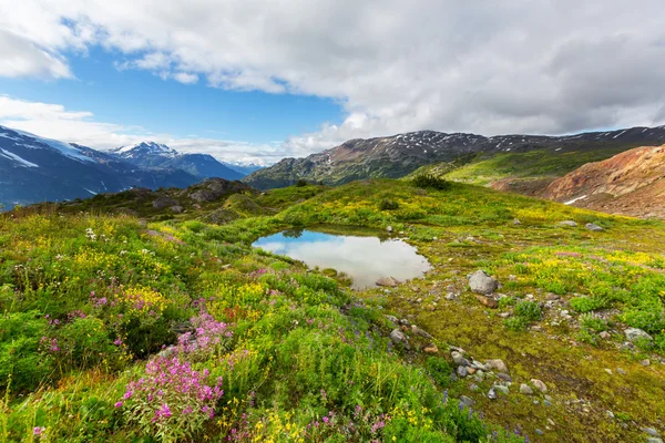 Pittoreska kanadensiska berg — Stockfoto