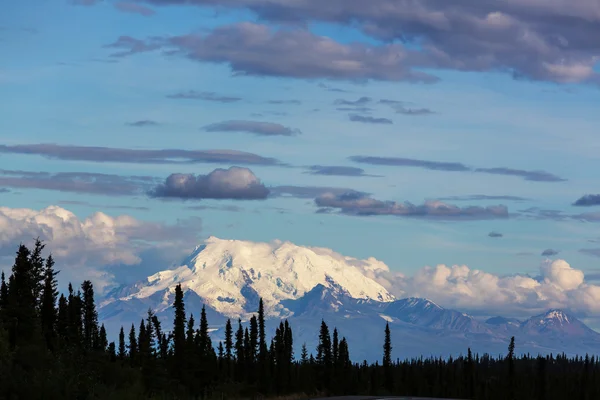 Beautiful Mountains of Alaska Royalty Free Stock Photos