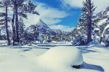 Kışın Buzul Parkı