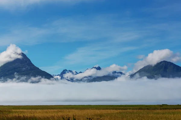 Malerische alaska-landschaften — Stockfoto