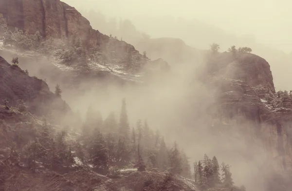 Φθινόπωρο στα βουνά του Κολοράντο — Φωτογραφία Αρχείου