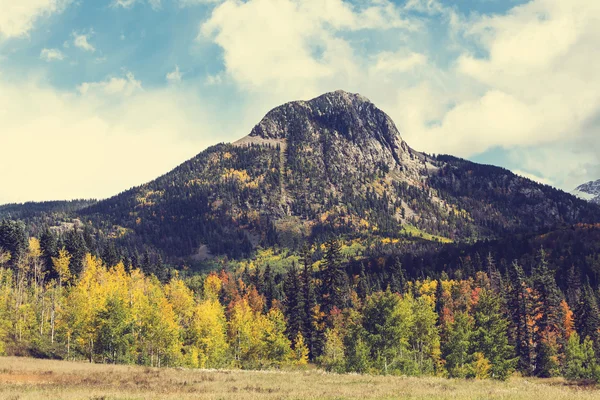 Outono nas montanhas do colorado — Fotografia de Stock