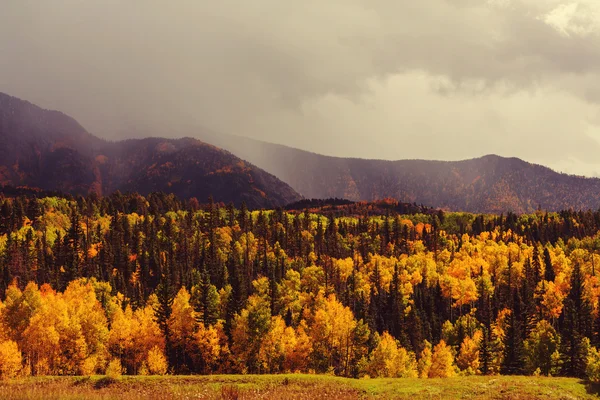 科罗拉多州山区的秋天 — 图库照片