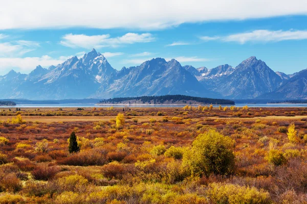 Automne dans le parc national de Grand Teton — Photo