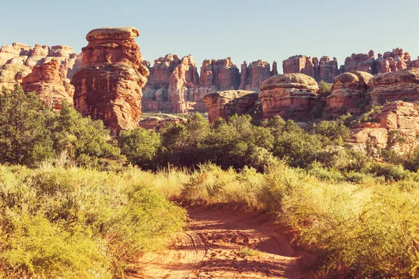 Canyonlands Nationaalpark — Stockfoto