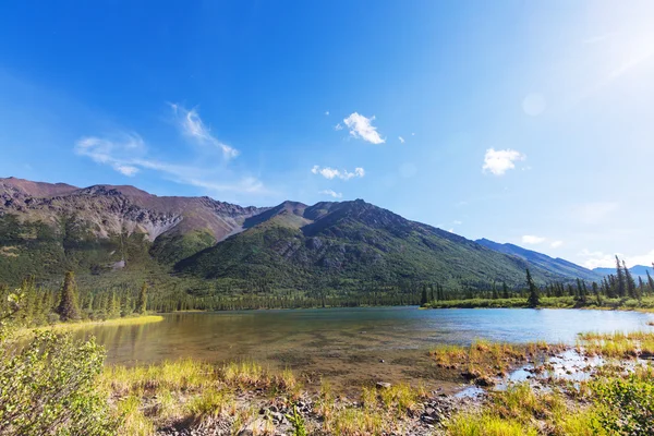 Озеро в Аляски тундрі — стокове фото