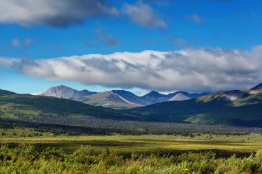 Alaska'da güzel dağlar