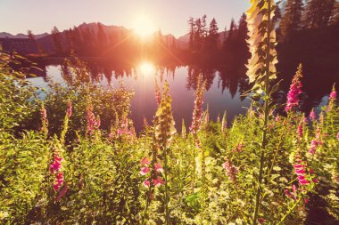 Resim göl ve dağ shuksan