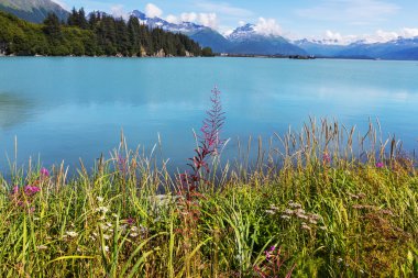 Alaska'da Valdez dağlar
