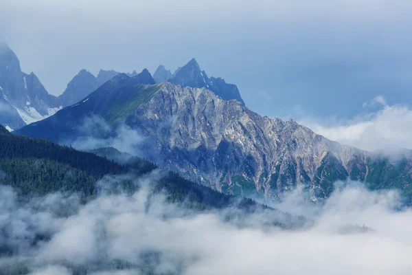 Prachtige bergen in Alaska — Stockfoto