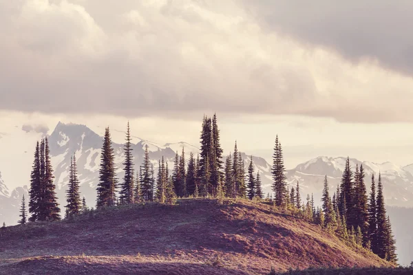 Montagnes canadiennes pittoresques — Photo