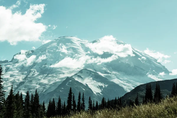 Parque Nacional Monte Rainier —  Fotos de Stock