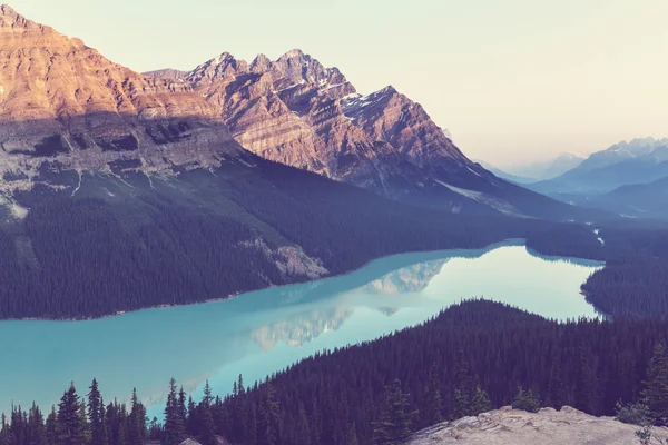 Peyto Lake, Canadá — Fotografia de Stock