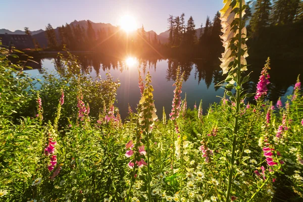 Imagen lago y monte Shuksan — Foto de Stock