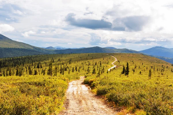 Polar Tundra landscapes — Stock Photo, Image