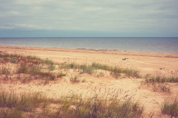 Costa del Mar Baltico — Foto Stock