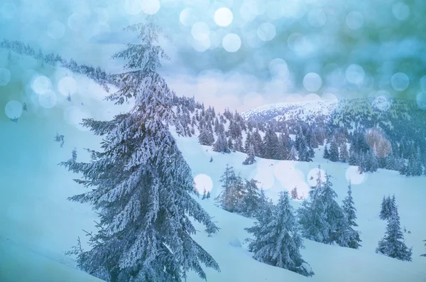 Schöne Winterberge — Stockfoto