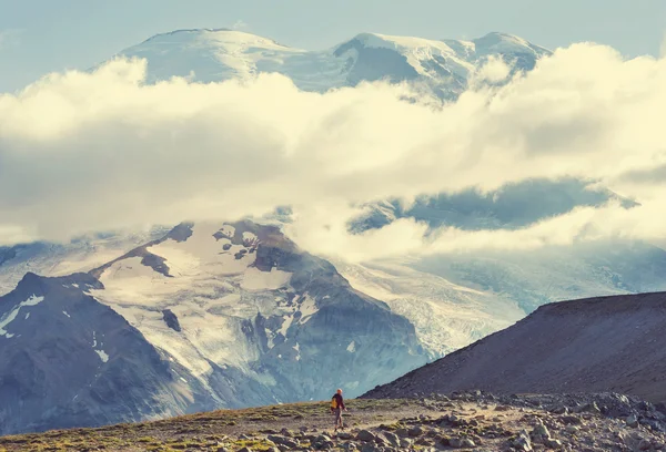 Parque Nacional Mount Rainier — Fotografia de Stock