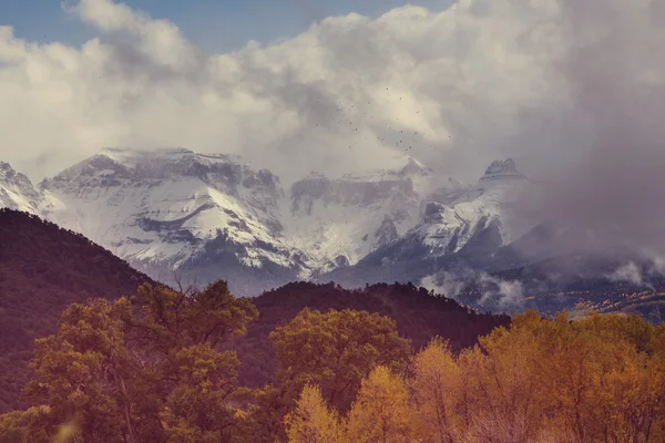 Malownicze jesień w Colorado — Zdjęcie stockowe