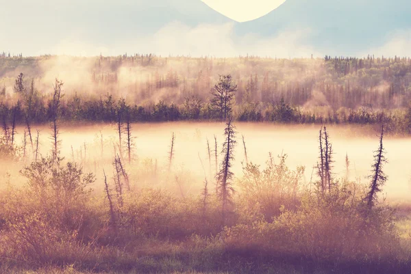 Montagnes brumeuses au lever du soleil — Photo