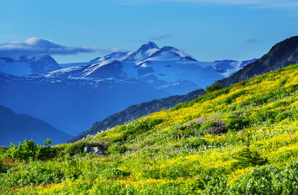 Picturesque Canadian mountains — Stock Photo, Image