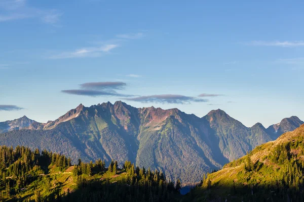夏のピクチャレスク山 — ストック写真