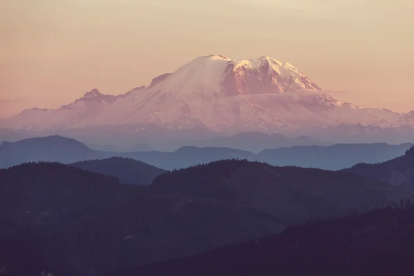 Mount Rainier v národním parku — Stock fotografie