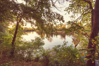 Yaz parlak gün nehirde