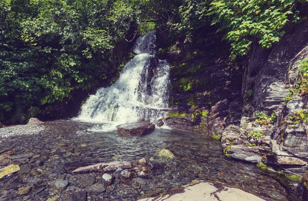 日の森で風光明媚な滝 — ストック写真